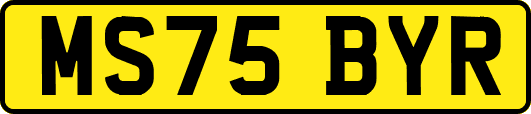 MS75BYR