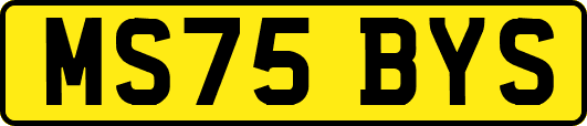 MS75BYS