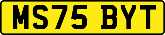 MS75BYT