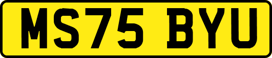 MS75BYU