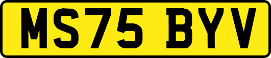 MS75BYV