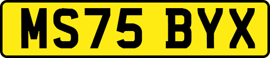 MS75BYX