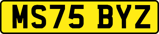 MS75BYZ