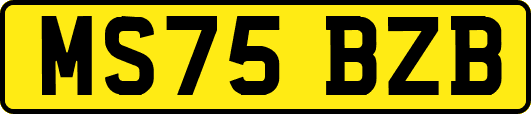 MS75BZB