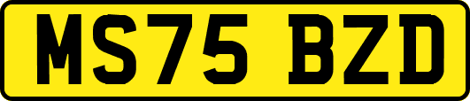 MS75BZD