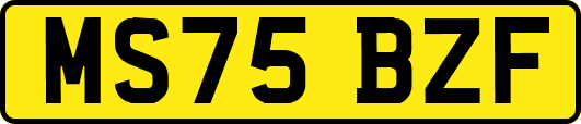 MS75BZF
