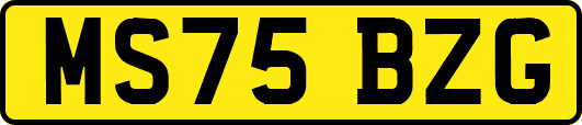 MS75BZG