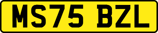 MS75BZL
