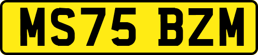 MS75BZM