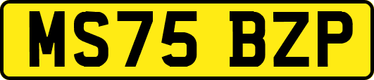 MS75BZP