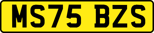 MS75BZS