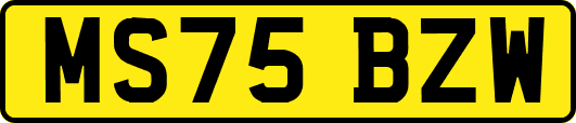 MS75BZW