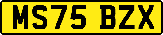 MS75BZX