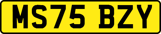 MS75BZY