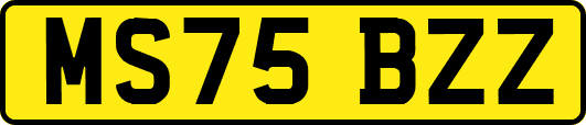 MS75BZZ