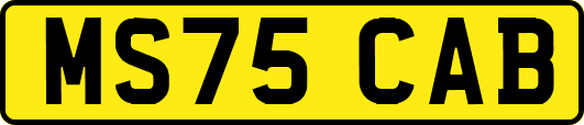 MS75CAB