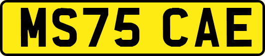 MS75CAE