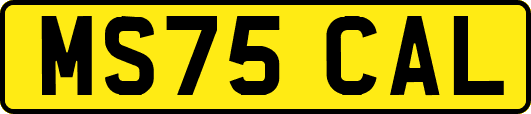 MS75CAL