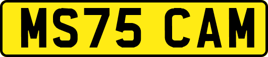 MS75CAM