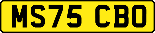 MS75CBO