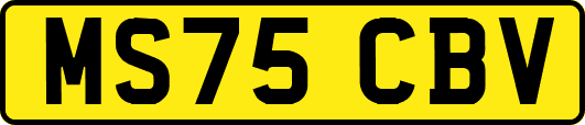 MS75CBV