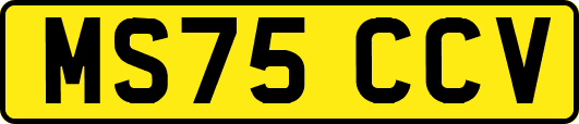 MS75CCV