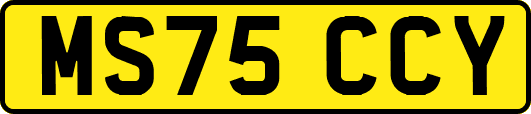 MS75CCY