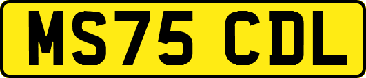 MS75CDL