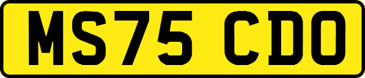 MS75CDO