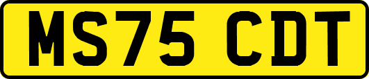 MS75CDT