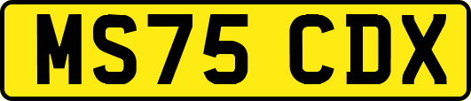MS75CDX