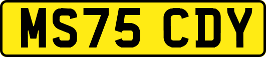 MS75CDY