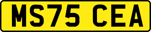 MS75CEA
