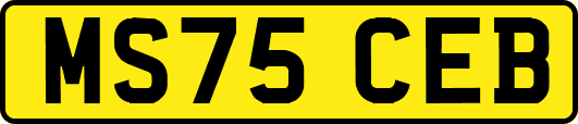 MS75CEB