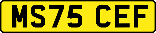 MS75CEF