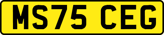 MS75CEG
