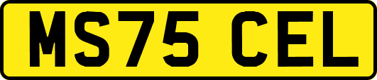 MS75CEL