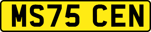 MS75CEN