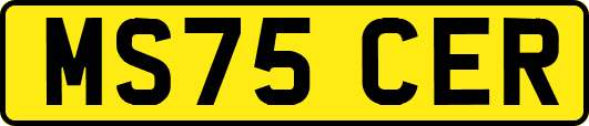 MS75CER