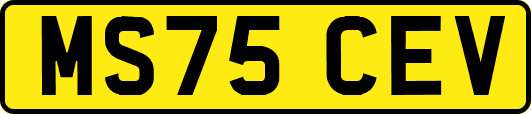 MS75CEV