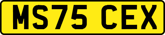 MS75CEX