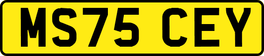 MS75CEY