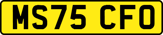 MS75CFO