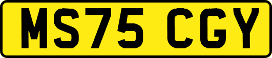 MS75CGY