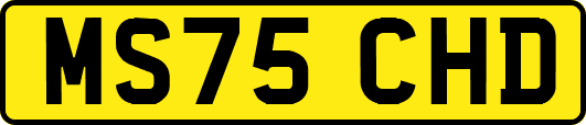MS75CHD