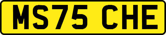 MS75CHE