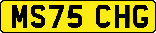 MS75CHG
