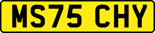 MS75CHY