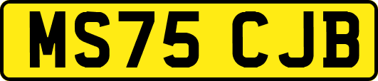 MS75CJB