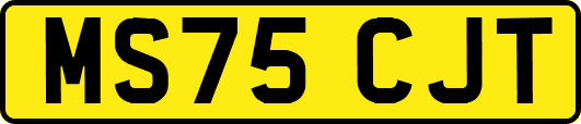 MS75CJT
